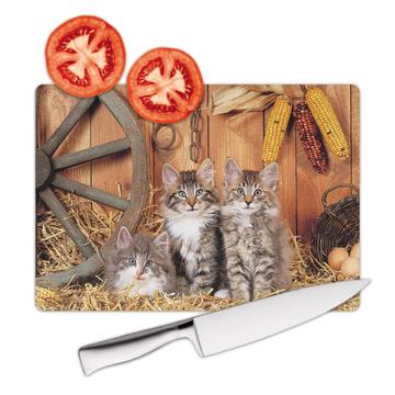 Three Cats : Gift Cutting Board Farm Hay Kitten Pet Animal Nature