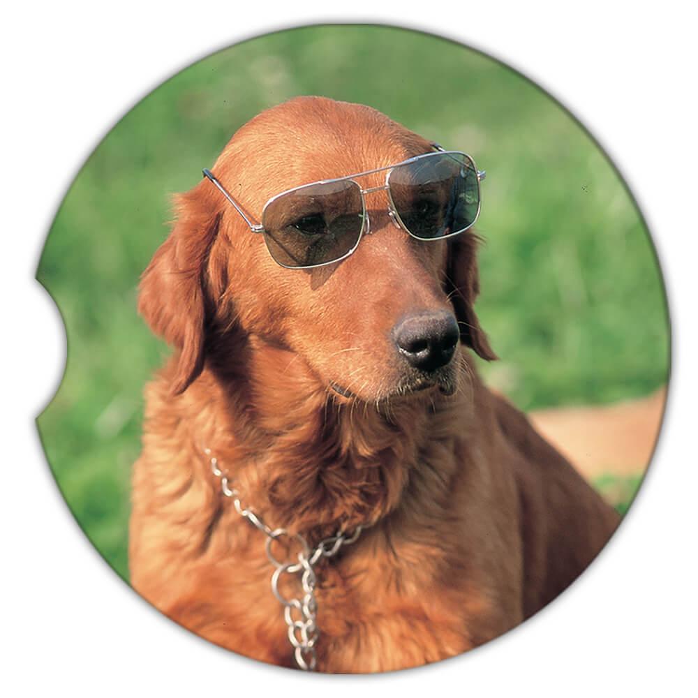 Dog 2025 aviator glasses