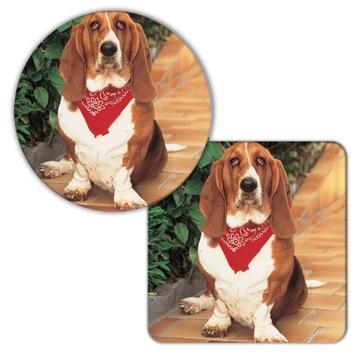 Basset Hound : Gift Coaster Pet Animal Puppy Cute Funny Dog