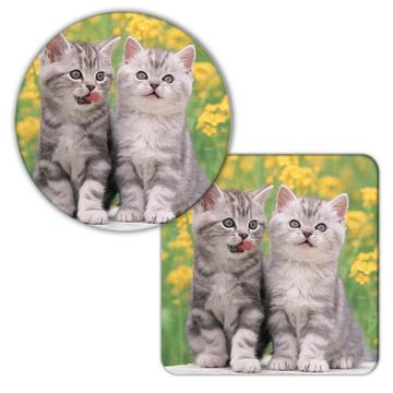 Cat : Gift Coaster Cute Animal Kitten Funny Friend Flowers