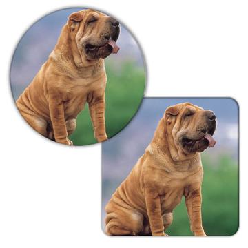 Sharpei : Gift Coaster Dog Pet Funny Cute Canine Pets Dogs