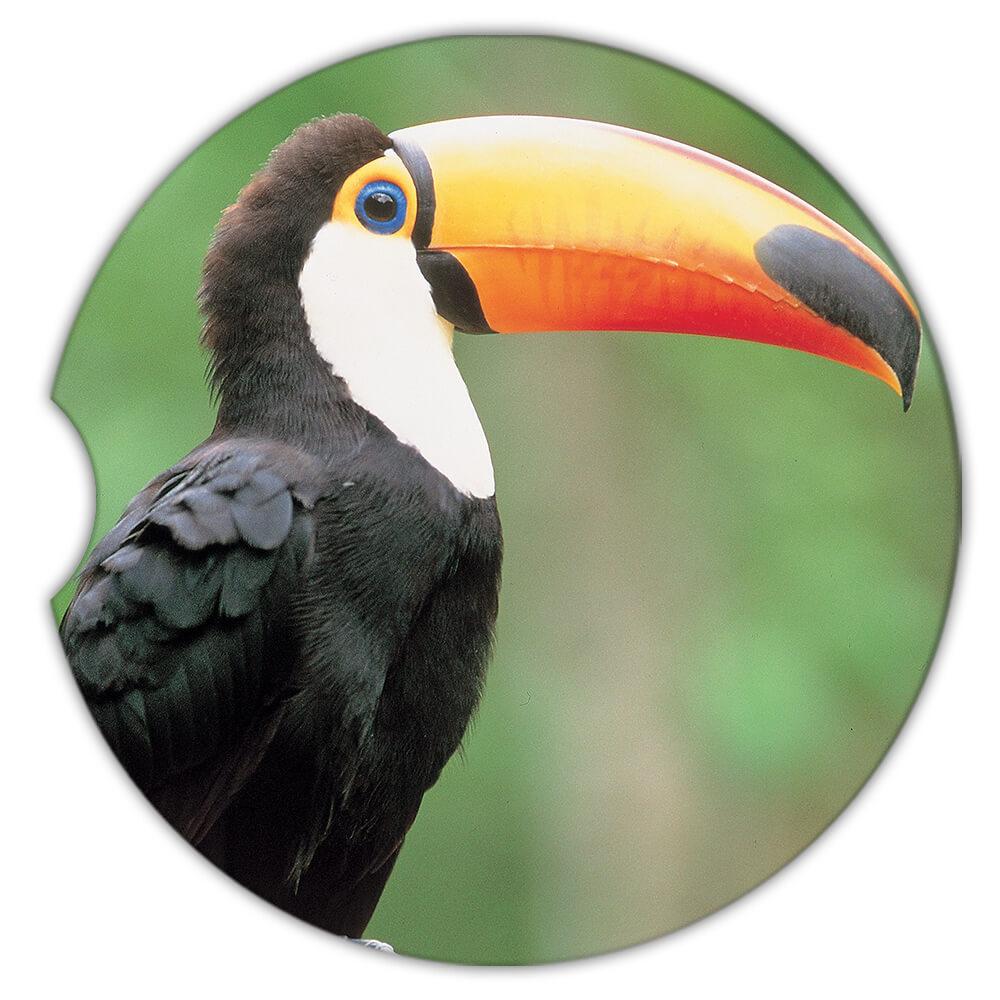 Montaña rusa de regalo: pájaro tucán animal tropical ecología naturaleza aviario - Imagen 6 de 10