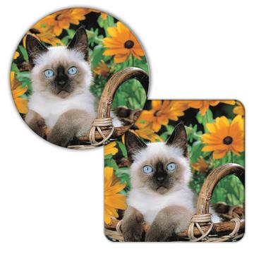 Cat Basket : Gift Coaster Yellow Flowers Floral Kitten Pet Animal Nature