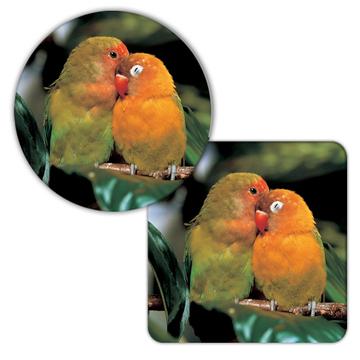 Agapornis : Gift Coaster Love Bird Nature Pet Romantic Valentines Ecology Animals Cute