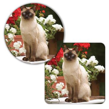 Cat : Gift Coaster Cute Animal Kitten Funny Friend Flowers Pet Feline