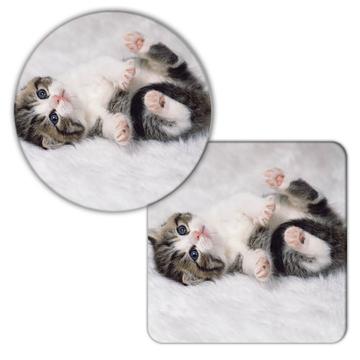 Cat Check Meowt : Gift Coaster Check Me Out Pet Animal Kitten White Cute Funny