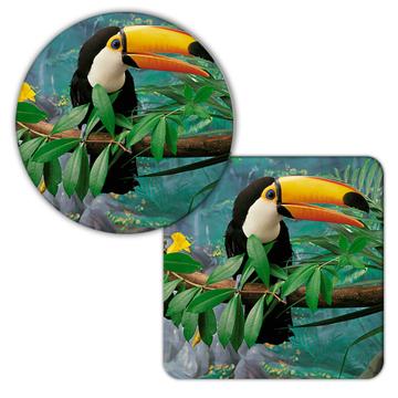 Toucan : Gift Coaster Bird Tropical Animal Ecology Nature Aviary