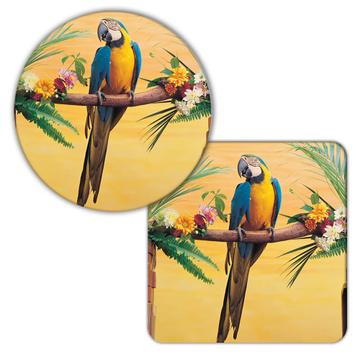 Macaw : Gift Coaster Parrot Bird Tropical Studio Animal Cute