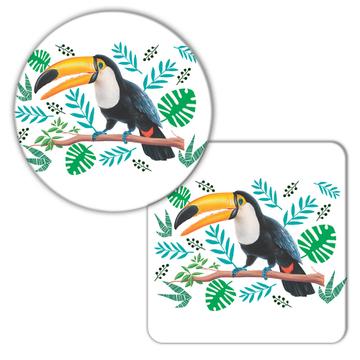 Toucan Airbrush Painting : Gift Coaster Bird Tropical Animal