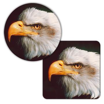 Bald Eagle : Gift Coaster USA America Patriotic 4th July United States Bird CH1961SP