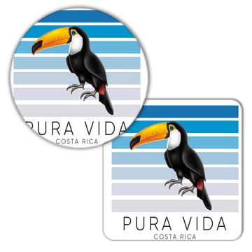 Toucan Pura Vida Costa Rica : Gift Coaster Bird Tropical Animal