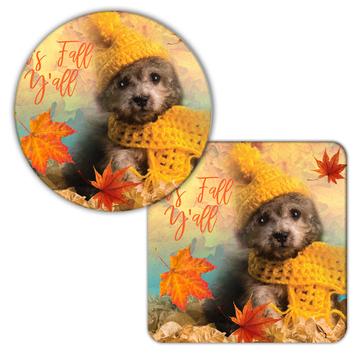 Poodle Its Fall You All : Gift Coaster Dog Puppy Pet Autumn Animal Cute