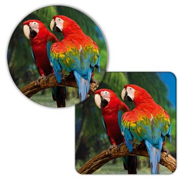 2 Macaws Branch Tropical Beach : Gift Coaster Parrot Bird Animal Cute