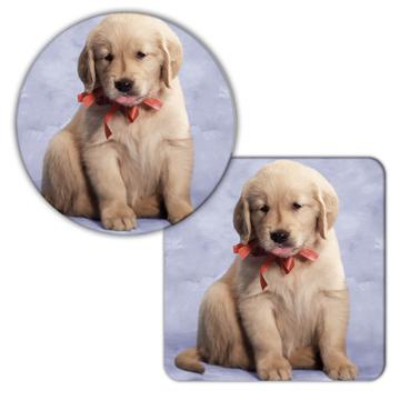 Golden Retriever Red Bow : Gift Coaster Dog Pet Animal Puppy