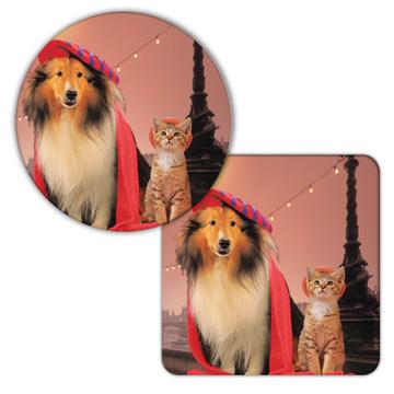 Collie and Cat : Gift Coaster Pet Animal Puppy Dog Funny Cute Paris Kitten