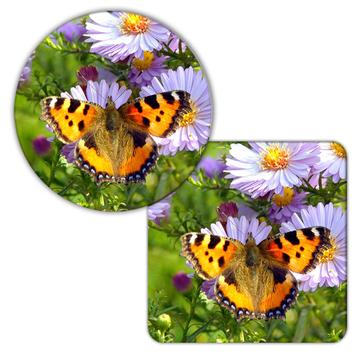 Butterflies : Gift Coaster Floral Flowers Female Mom for Secretary Nature Butterfly