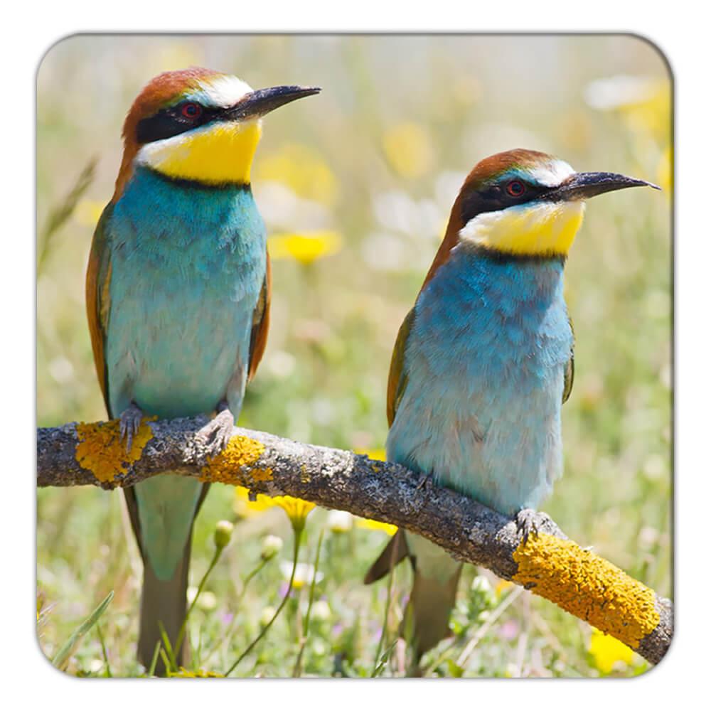 Geschenk Untersetzer: Bienenfresser Vogel Tier Natur bunt Ökologie Haustier Vogelbeobachter - Bild 3 von 10