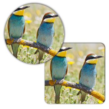 Bee Eater Bird : Gift Coaster Animal Nature Colorful Ecology Pet Birdwatcher Exotic