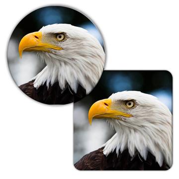 Bald Eagle : Gift Coaster USA America Patriotic 4th July United States Bird