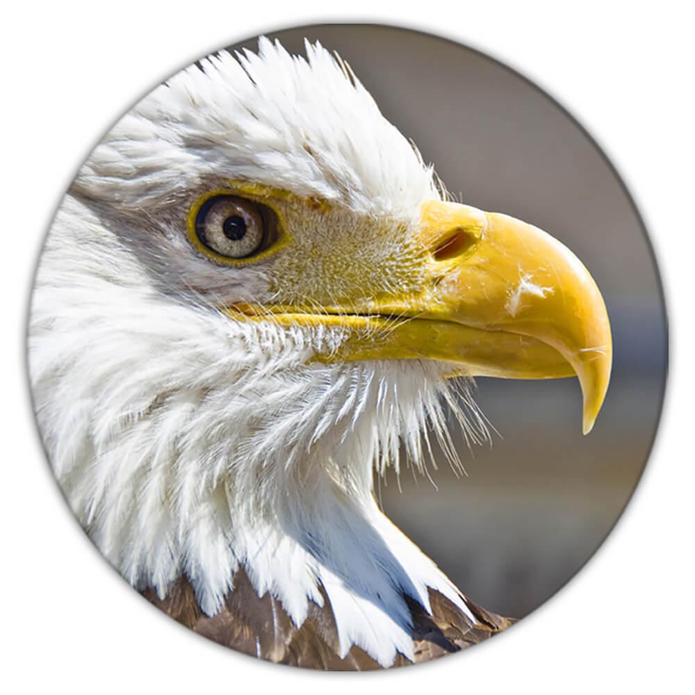 Montaña rusa de regalo: águila calva EE. UU. América patriótica 4 de julio  Estados Unidos pájaro | eBay