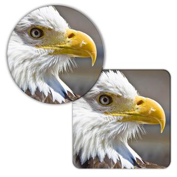 Bald Eagle : Gift Coaster USA America Patriotic 4th July United States Bird