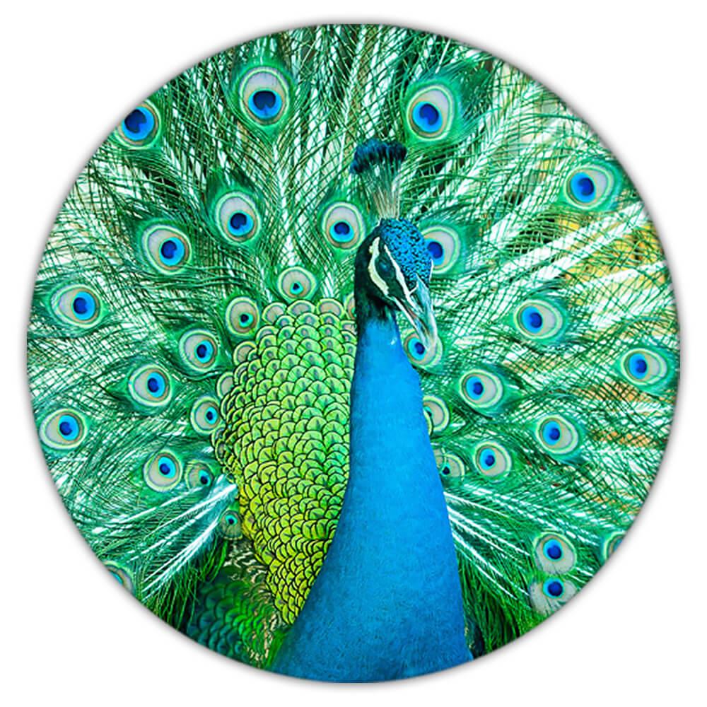 Geschenk Untersetzer: Pfau Vogel Tier Natur beobachten Ökologie - Bild 2 von 10
