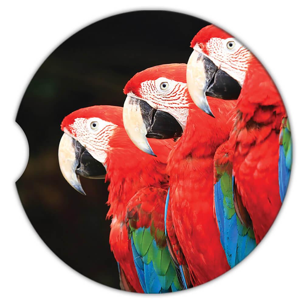 Montaña rusa de regalo: 3 guacamayos loro pájaro fotografía animal lindo - Imagen 6 de 10