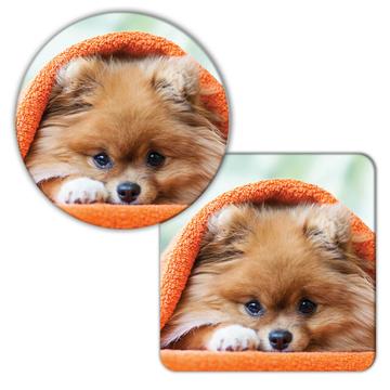 Pomeranian Towel Funny Sorry I Cant : Gift Coaster Dog Pet Puppy Animal Cute Humor