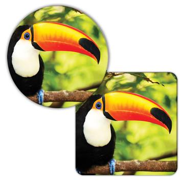 Toucan : Gift Coaster Nature Bird Brazil Costa Rica Tropical Animal Eco
