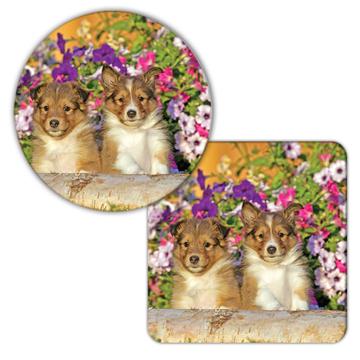 Collie Flowers : Gift Coaster Dog Puppy Pet Animal Cute Canine Pets Dogs