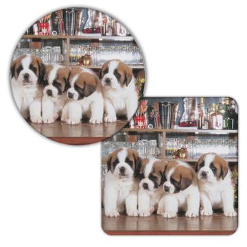 Saint Bernard Pub Drinks : Gift Coaster Dog Puppy Pet Vintage Style Photo Animal Cute