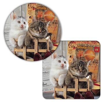 Cat : Gift Coaster Cute Animal Kitten Funny Friend Paris France