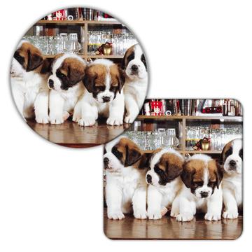Saint Bernard Bar Drinks Pub : Gift Coaster Dog Puppy Pet Animal Cute
