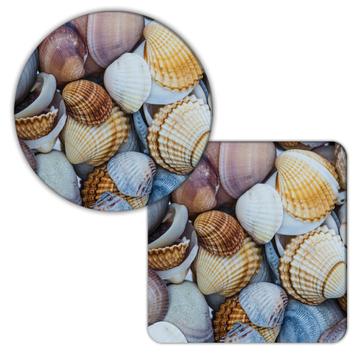 Seashells Pattern : Gift Coaster Abstract Nature Nautical Maritime Poster Wall Decor Sea