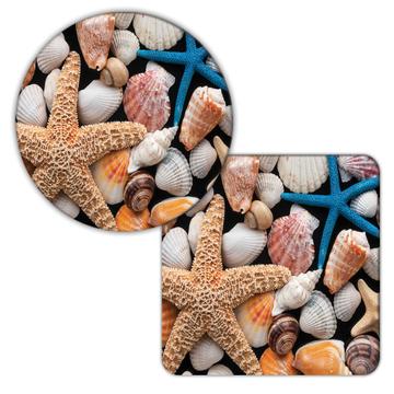 Seashells Photograph : Gift Coaster Starfish Shells Kitchen Room Wall Decor Poster Art