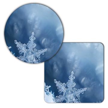 Cute Snowflake Photograph : Gift Coaster Tracery Delicate Winter Snow Poster New Year