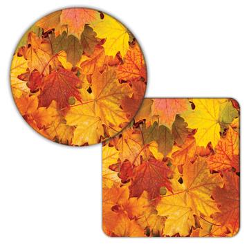 Maple Leaf Leaves : Gift Coaster Fall Autumn Thanksgiving Abstract Nature Seamless Pattern