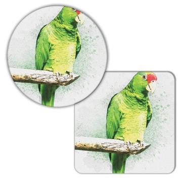 Parrot Watercolor : Gift Coaster Bird Nature Artistic Art Animal Cute
