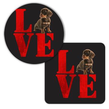 Dachshund Love : Gift Coaster Dog Weenie Animal Pet Canine Pets Dogs