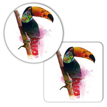 Toucan Photography Color Print : Gift Coaster Wild Bird Jungle Tropical Nature Beauty