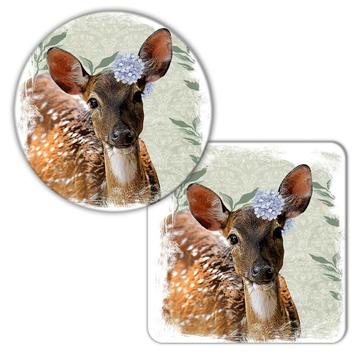 Deer Bambi Face Photography : Gift Coaster Hydrangea Wild Forest Animal Nature Cute
