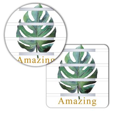 Monstera Leaf Art : Gift Coaster Watercolor Print Botanical Plant Exotic Tropical Nature Protector