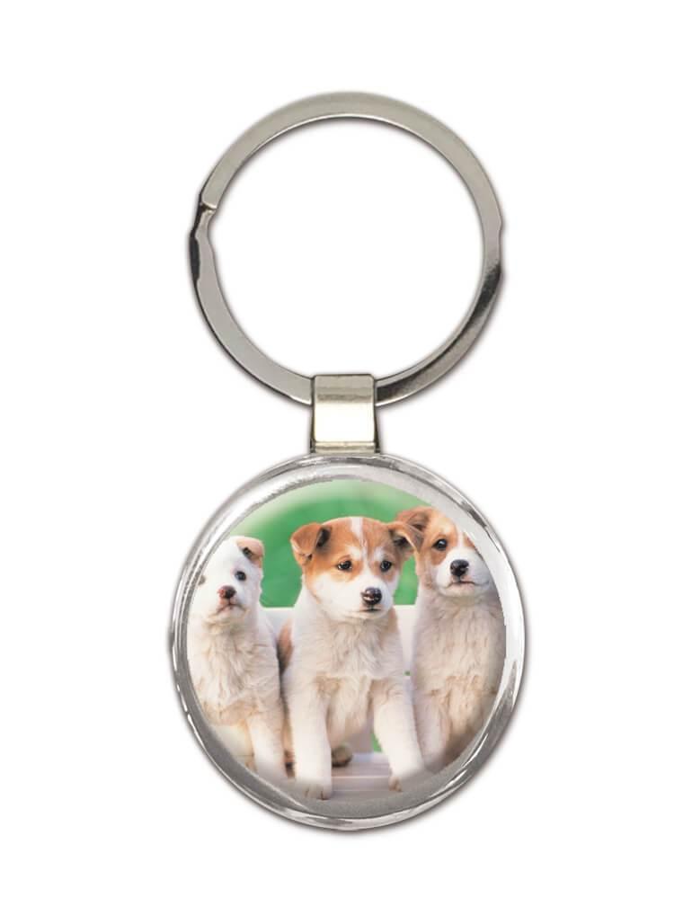 Russell Terrier : Gift Keychain Pet Animal Puppy Cute Funny Dogs