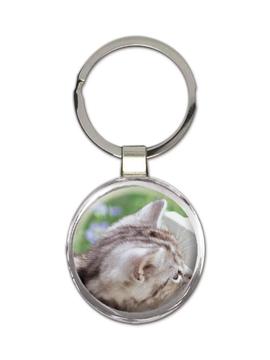Cat and Chickens : Gift Keychain Cute Funny Easter Kitten Nature Animals Farm