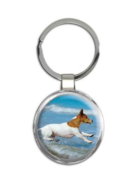 Russell Terrier at the Beach : Gift Keychain Dog Pet Animal Puppy