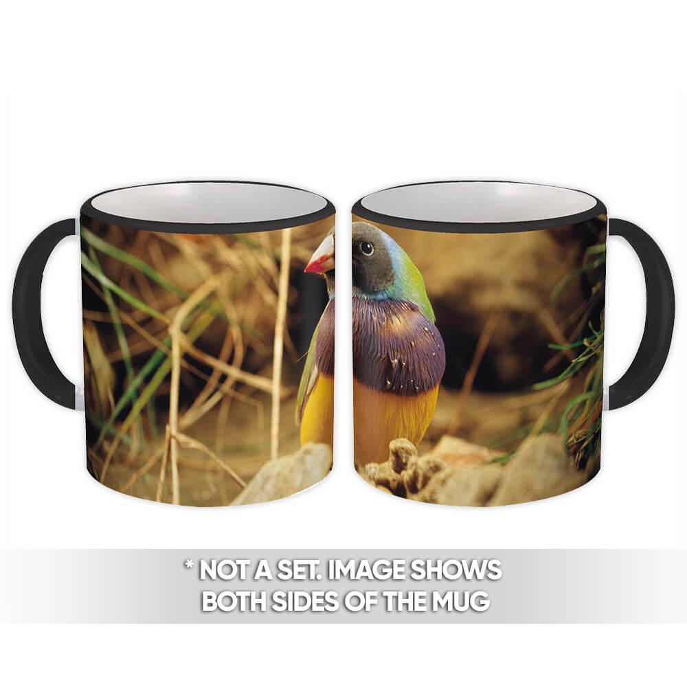 Gift Mug : Bird Animal Nature Colorful Ecology Pet Aviary Fauna