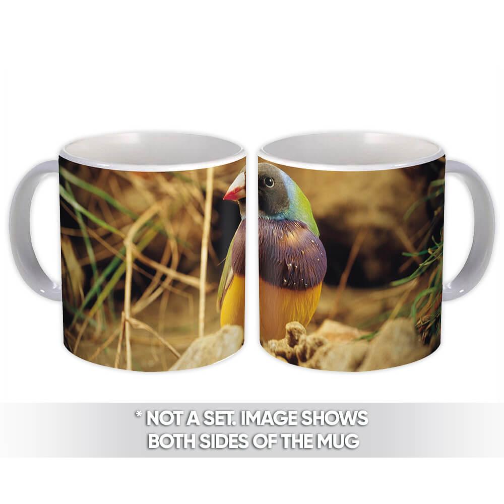 Gift Mug : Bird Animal Nature Colorful Ecology Pet Aviary Fauna