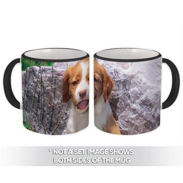 Braque Saint Germain Dog : Gift Mug Pet Animal Puppy Canine Pets Dogs