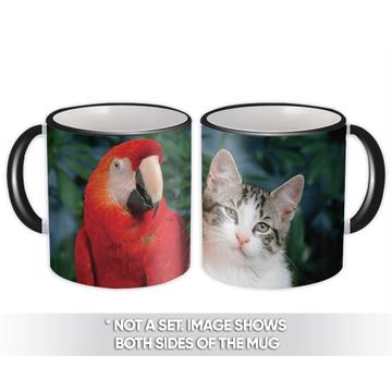Macaw And Cat Best Friends : Gift Mug Parrot Bird Animal Cute