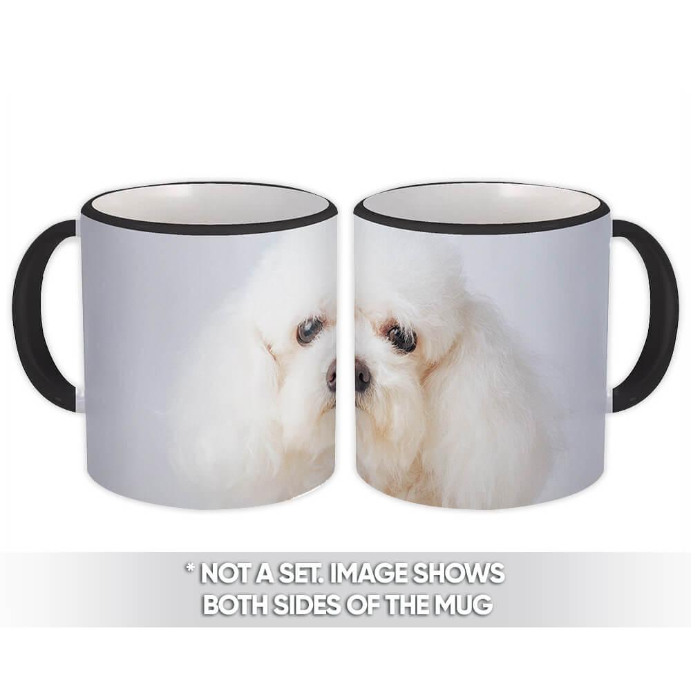 Gift Mug : Poodle Sad Face Home House Dog Puppy Pet Animal Cute